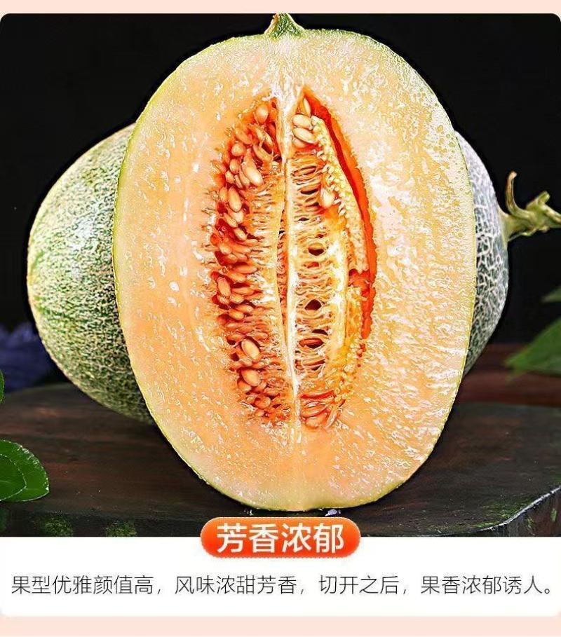 哈密瓜晓蜜25海南产地直供专业代办代发各种应季水果