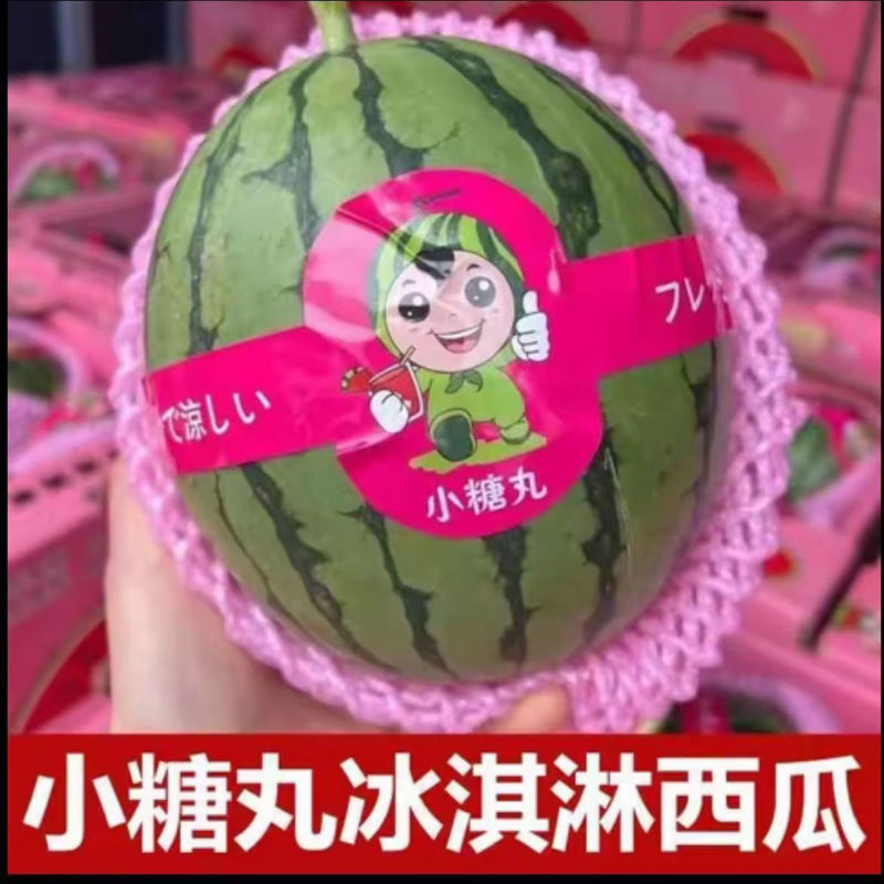 陕西西安小糖丸西瓜，手撕小西瓜，基地直发，大量现货