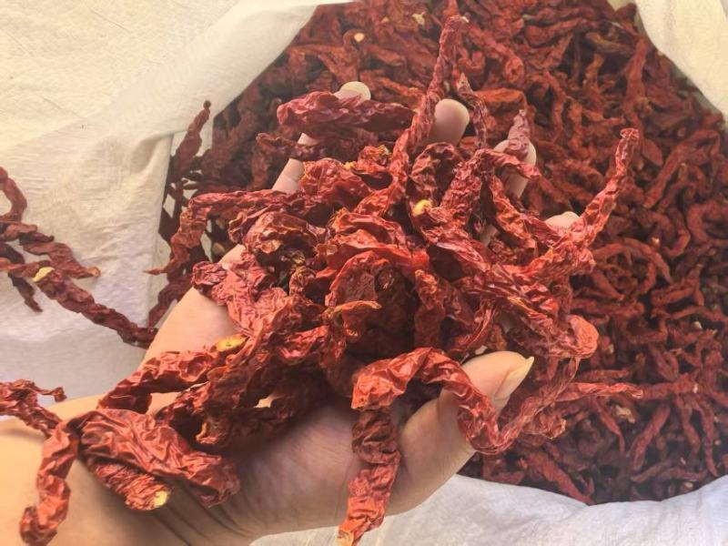 新疆安集海线椒，微辣特香长期供应各种干辣椒，辣椒粉