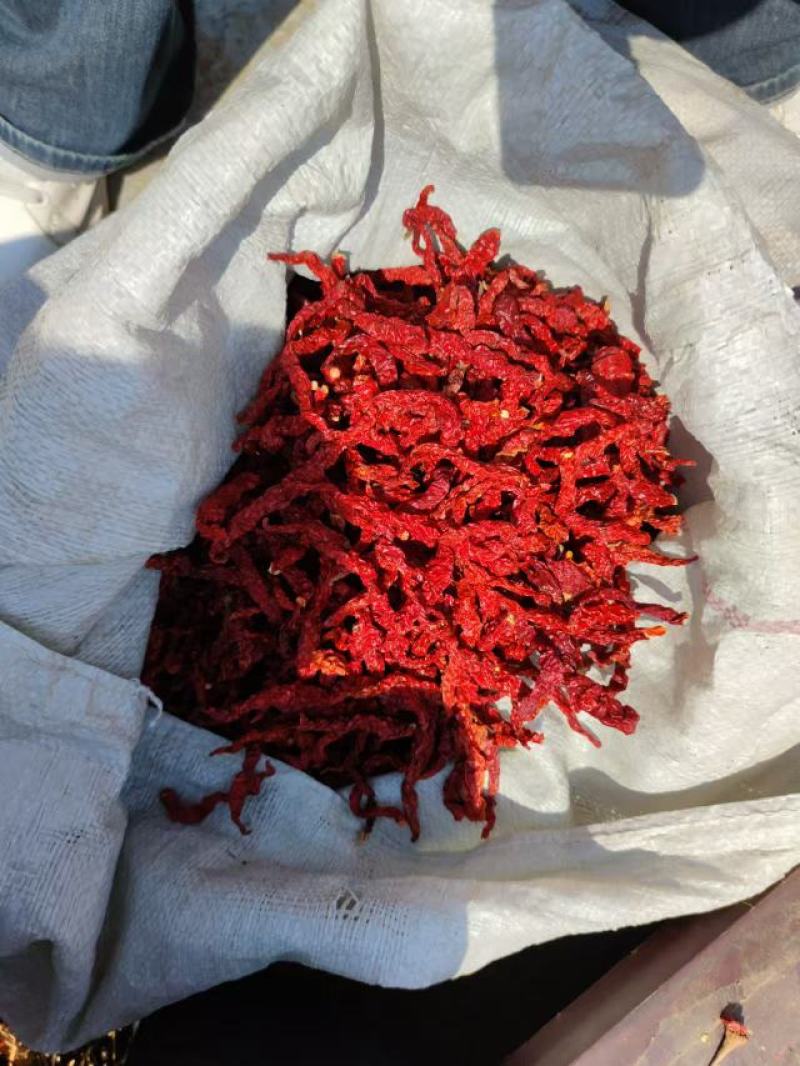 新疆安集海线椒，微辣特香长期供应各种干辣椒，辣椒粉