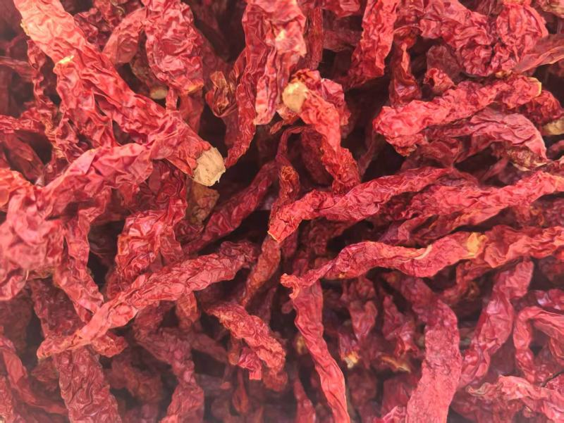 新疆安集海线椒，微辣特香长期供应各种干辣椒，辣椒粉