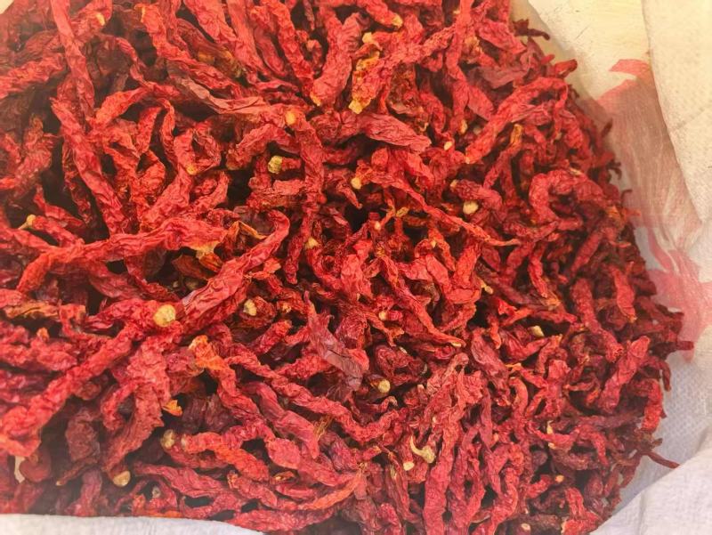 新疆安集海线椒，微辣特香长期供应各种干辣椒，辣椒粉