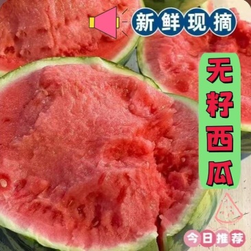 陕西西安无籽美都西瓜，产区直供，大量现货