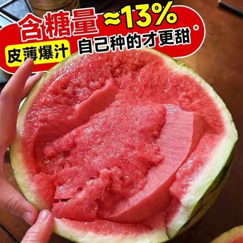 陕西西安无籽美都西瓜，产区直供，大量现货