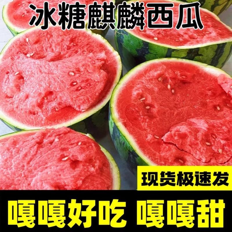 陕西西安无籽美都西瓜，产区直供，大量现货