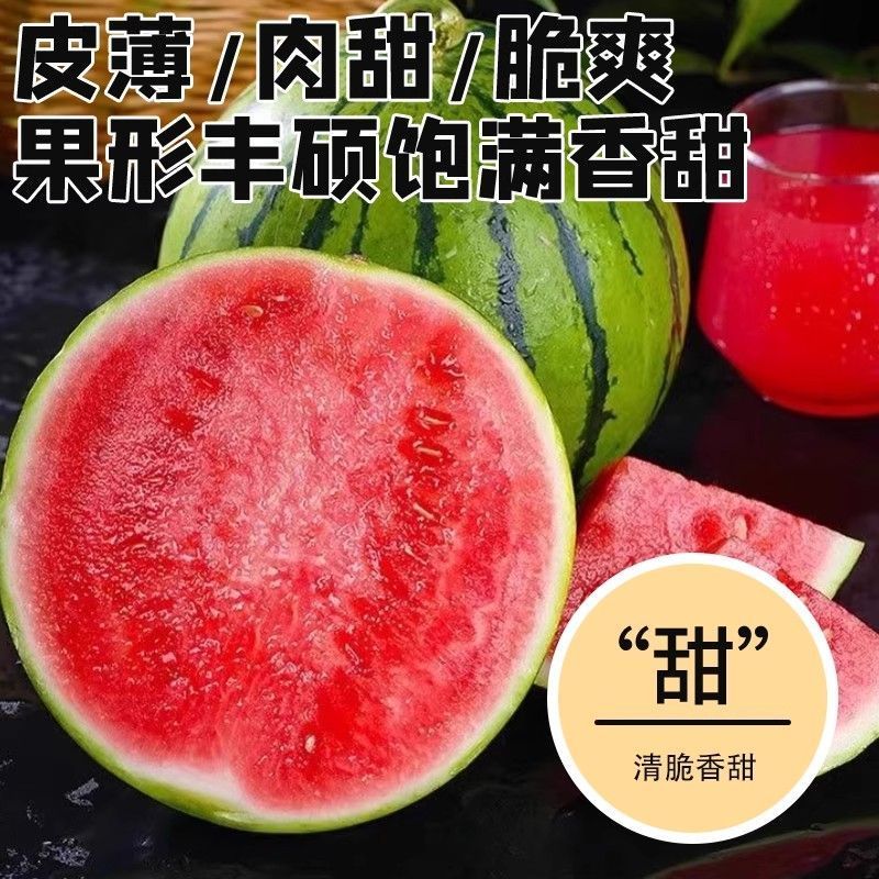 陕西西安无籽美都西瓜，产区直供，大量现货
