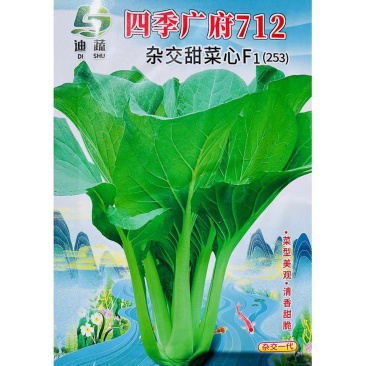 迪蔬四季广府712杂交甜菜心种子小青菜种子耐高温耐雨水