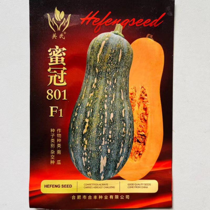 蜜冠801南瓜种子高产抗病大果蜜本南瓜种籽孑农家菜园四季