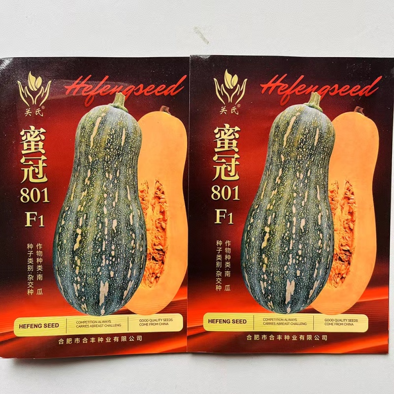蜜冠801南瓜种子高产抗病大果蜜本南瓜种籽孑农家菜园四季
