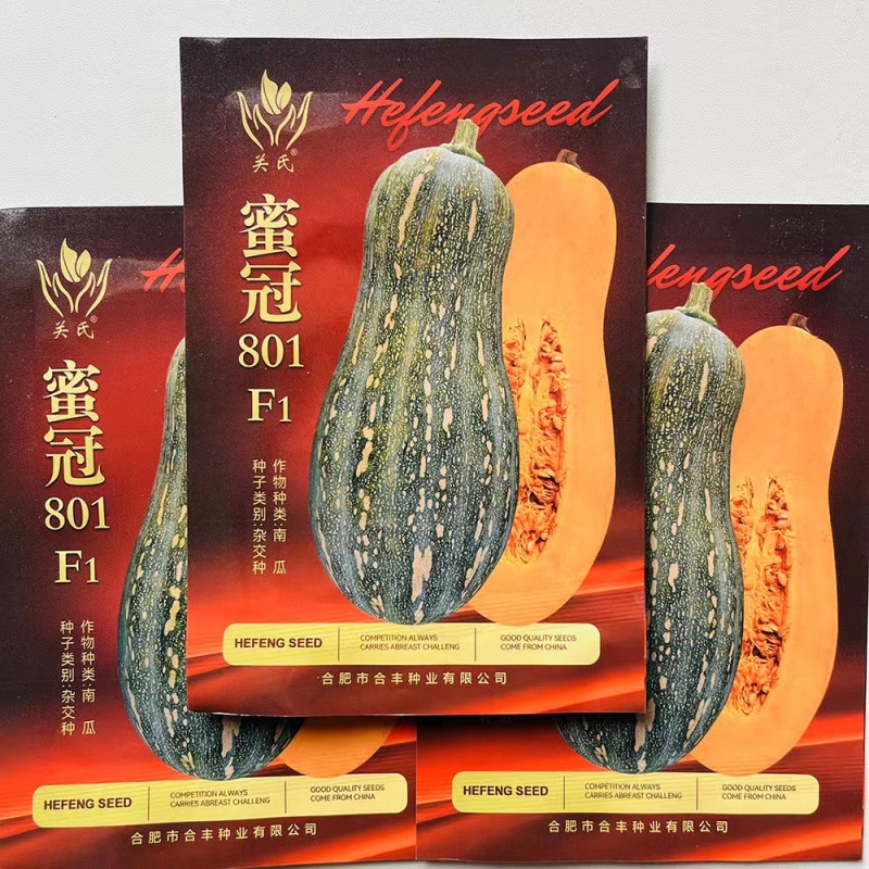 蜜冠801南瓜种子高产抗病大果蜜本南瓜种籽孑农家菜园四季