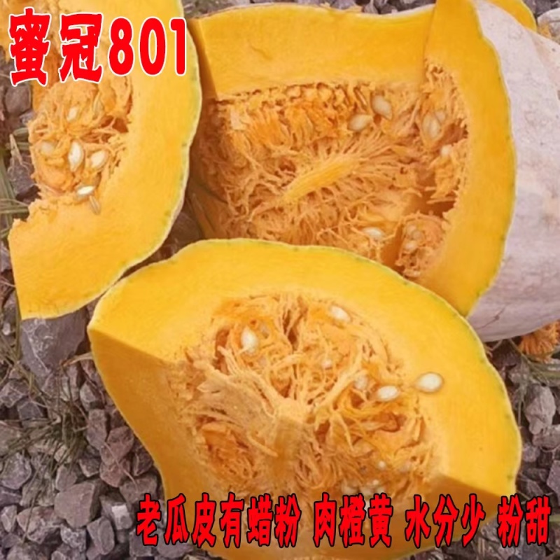 蜜冠801南瓜种子高产抗病大果蜜本南瓜种籽孑农家菜园四季