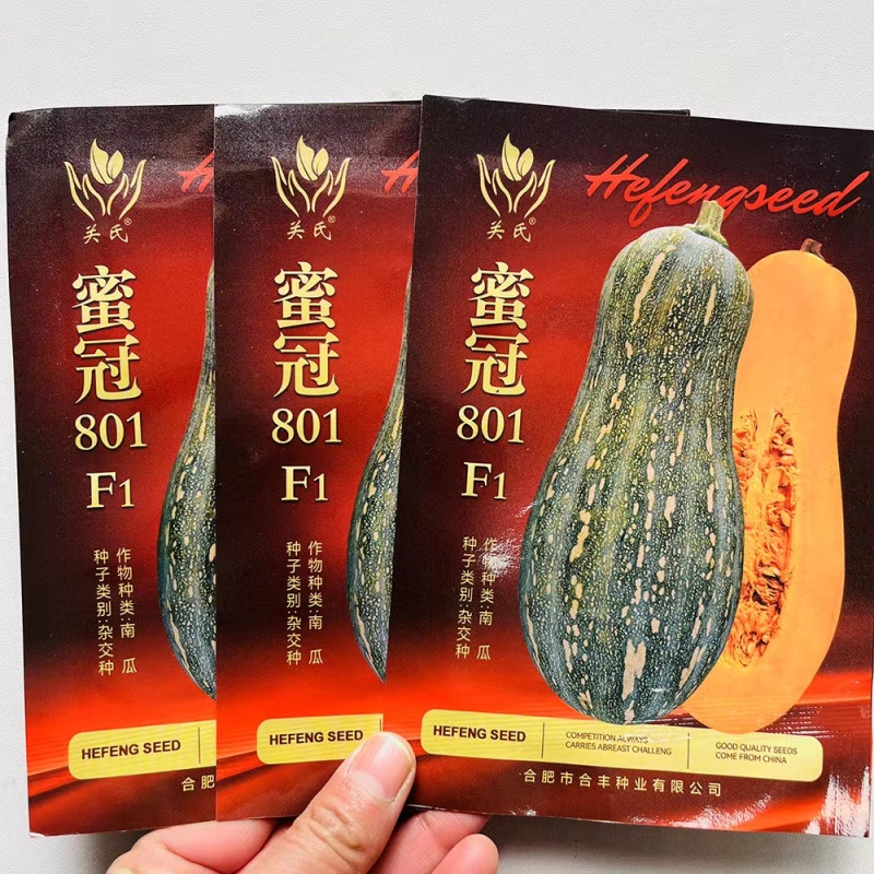 蜜冠801南瓜种子高产抗病大果蜜本南瓜种籽孑农家菜园四季