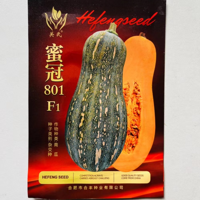 蜜冠801南瓜种子高产抗病大果蜜本南瓜种籽孑农家菜园四季