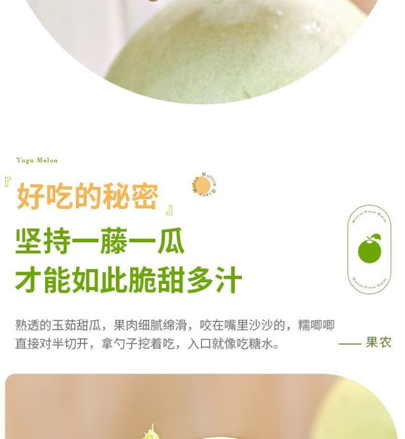 冰淇淋玉菇甜瓜一件代发直播代办装车哈密瓜冰激10斤