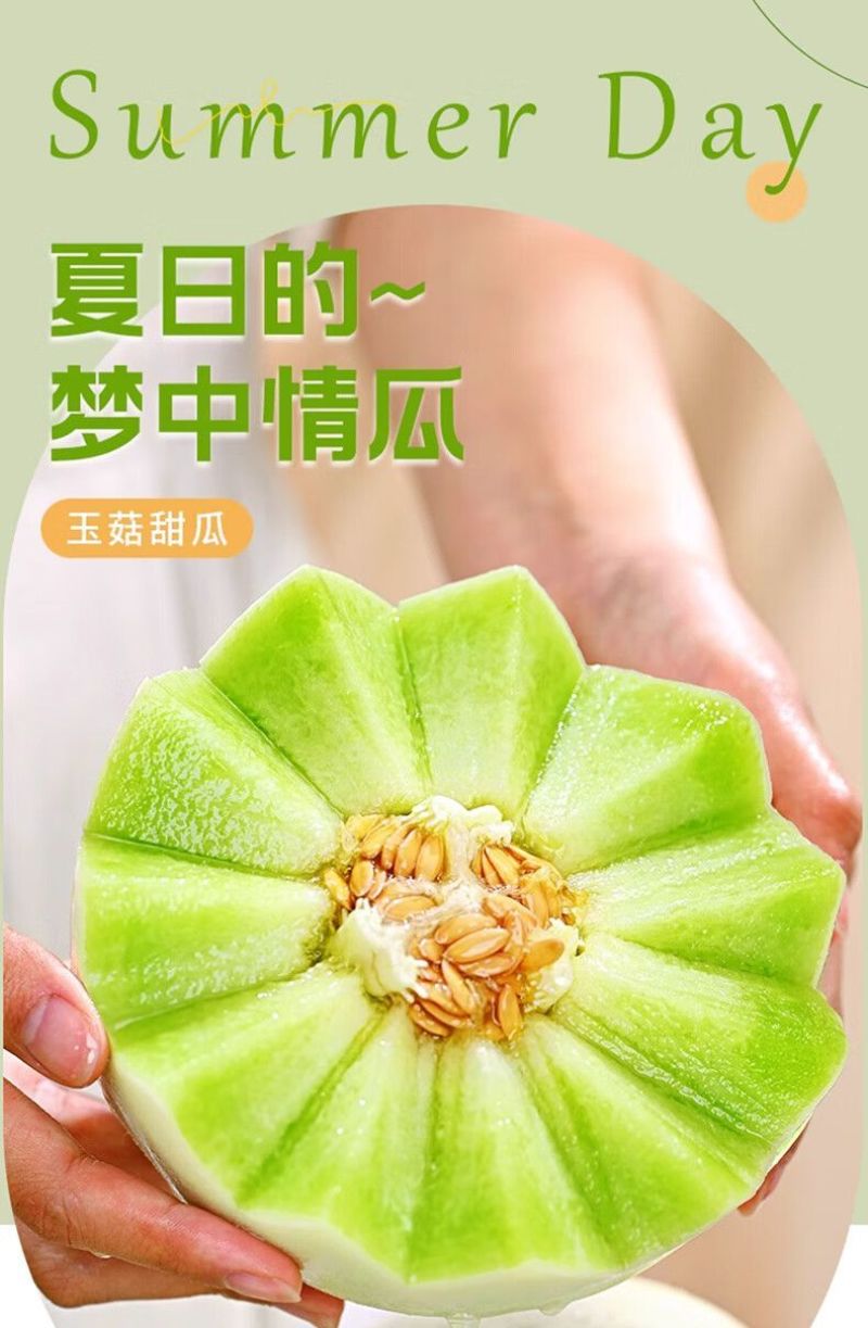 冰淇淋玉菇甜瓜一件代发直播代办装车哈密瓜冰激10斤