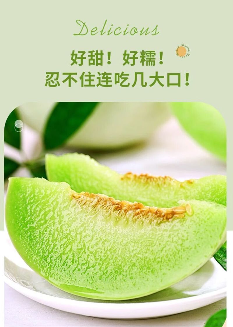 冰淇淋玉菇甜瓜一件代发直播代办装车哈密瓜冰激10斤