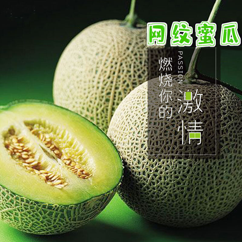 冰淇淋网纹瓜玫珑瓜精品超甜哈密瓜一件代发10斤