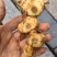 野生黄精黄精老虎姜野姜多花姜形倒苗黄精顺丰包邮