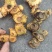 野生黄精黄精老虎姜野姜多花姜形倒苗黄精顺丰包邮