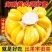 海南菠萝蜜大量上市现摘现发精品黄肉菠萝蜜