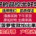海南菠萝蜜大量上市现摘现发精品黄肉菠萝蜜