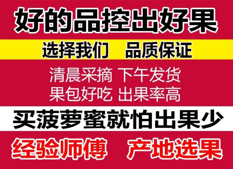 海南菠萝蜜大量上市现摘现发精品黄肉菠萝蜜