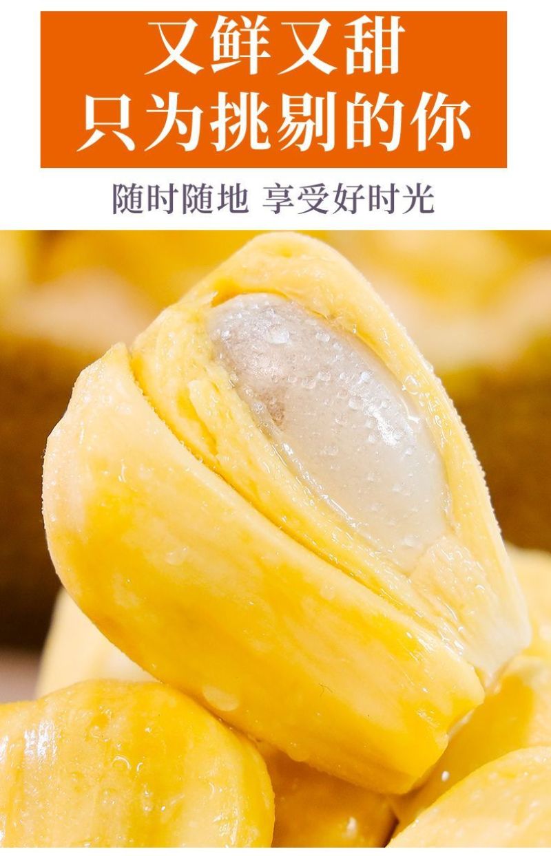 海南菠萝蜜大量上市现摘现发精品黄肉菠萝蜜