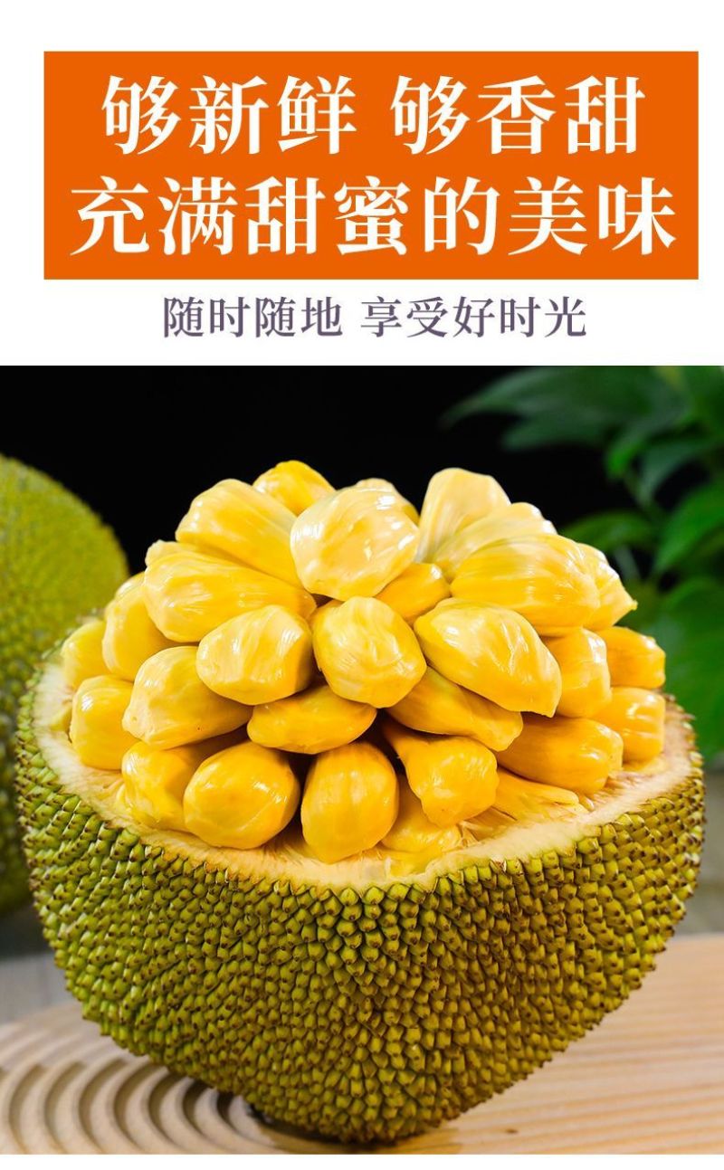 海南菠萝蜜大量上市现摘现发精品黄肉菠萝蜜