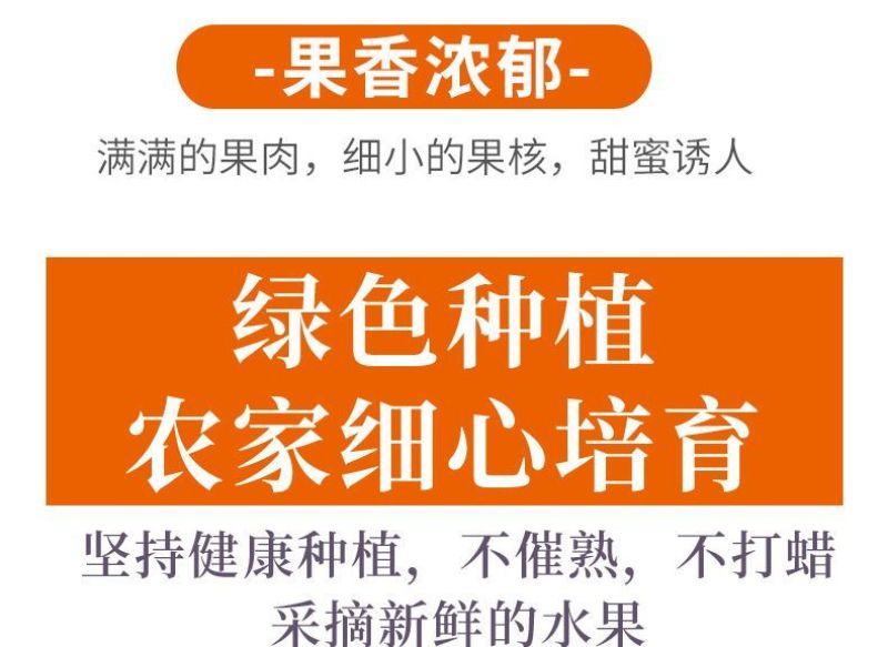 海南菠萝蜜大量上市现摘现发精品黄肉菠萝蜜