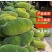海南菠萝蜜大量上市现摘现发精品黄肉菠萝蜜