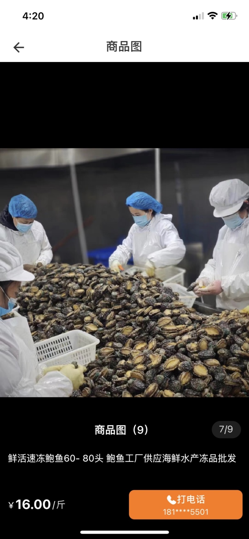 鲜活鲍鱼新鲜冷冻25-30头鲍鱼【鲍鱼工厂】冻品批发
