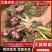 1.河北饶阳紫皮大蒜专业代收全国发货