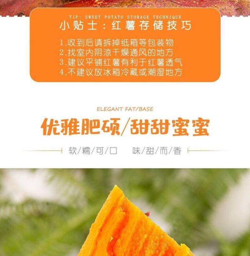 广东湛江沙地西瓜红红薯新鲜现挖红皮红心蜜薯软糯糖心番薯