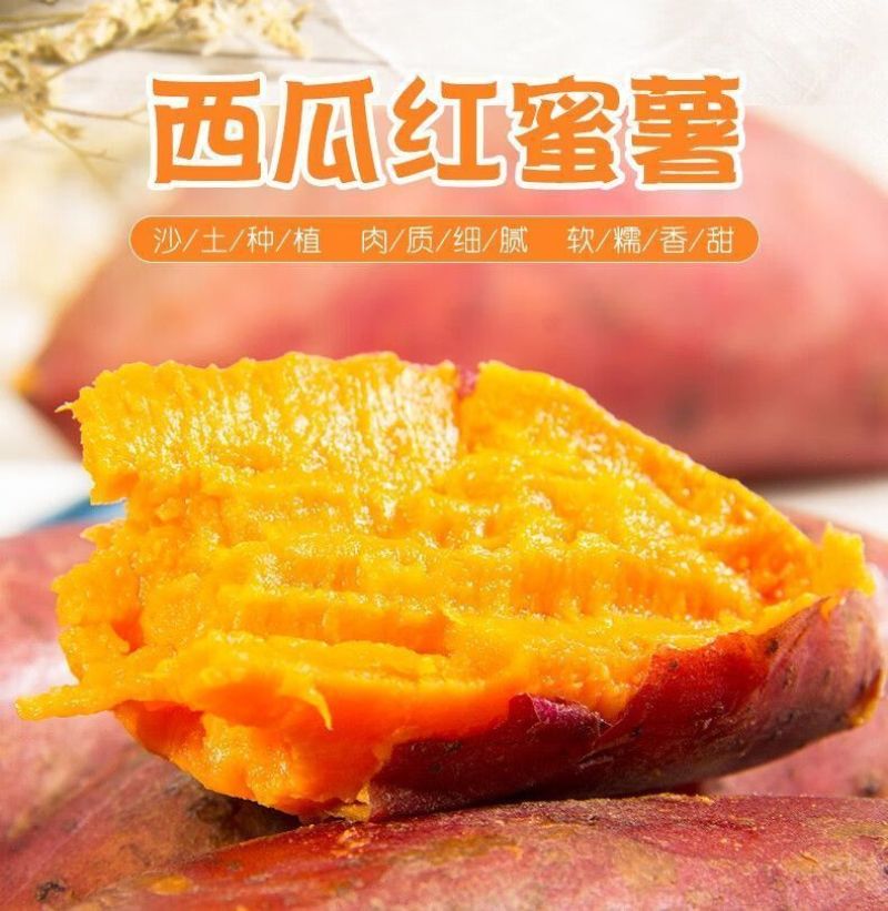 广东湛江沙地西瓜红红薯新鲜现挖红皮红心蜜薯软糯糖心番薯