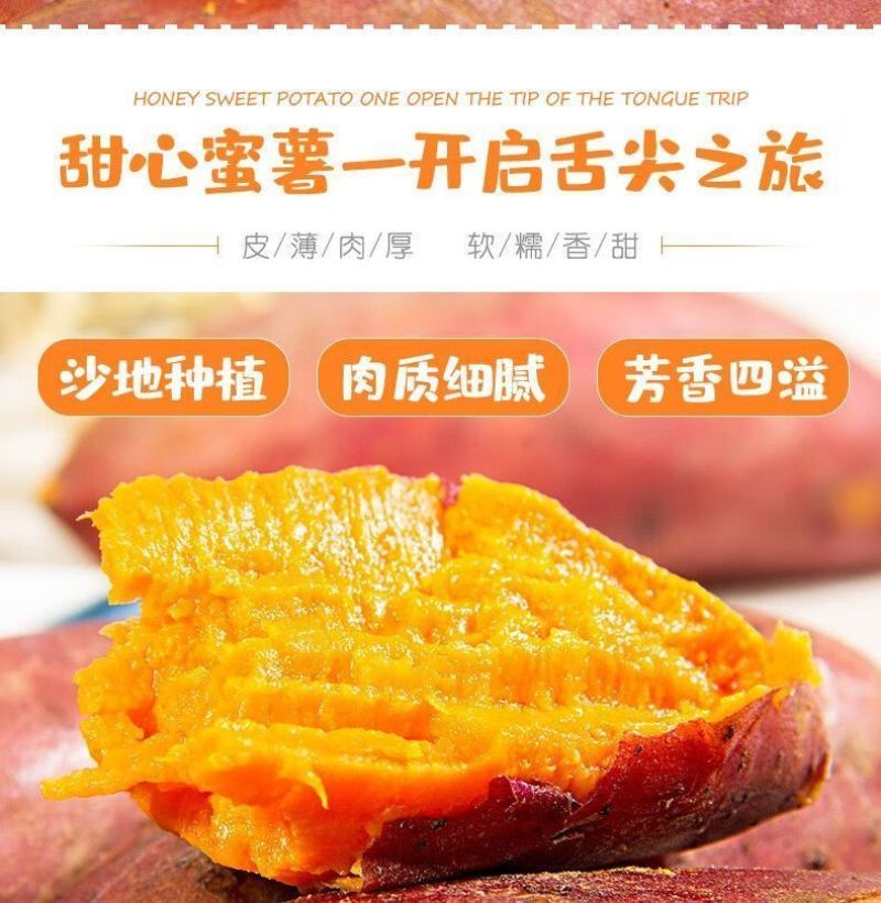 广东湛江沙地西瓜红红薯新鲜现挖红皮红心蜜薯软糯糖心番薯