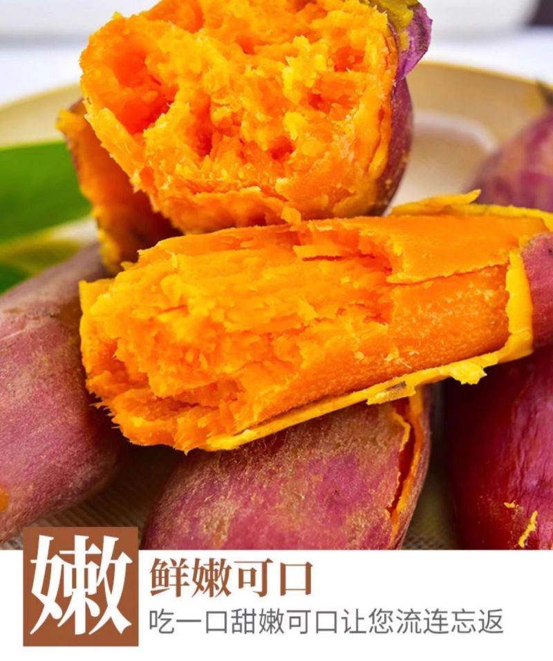 广东湛江沙地西瓜红红薯新鲜现挖红皮红心蜜薯软糯糖心番薯