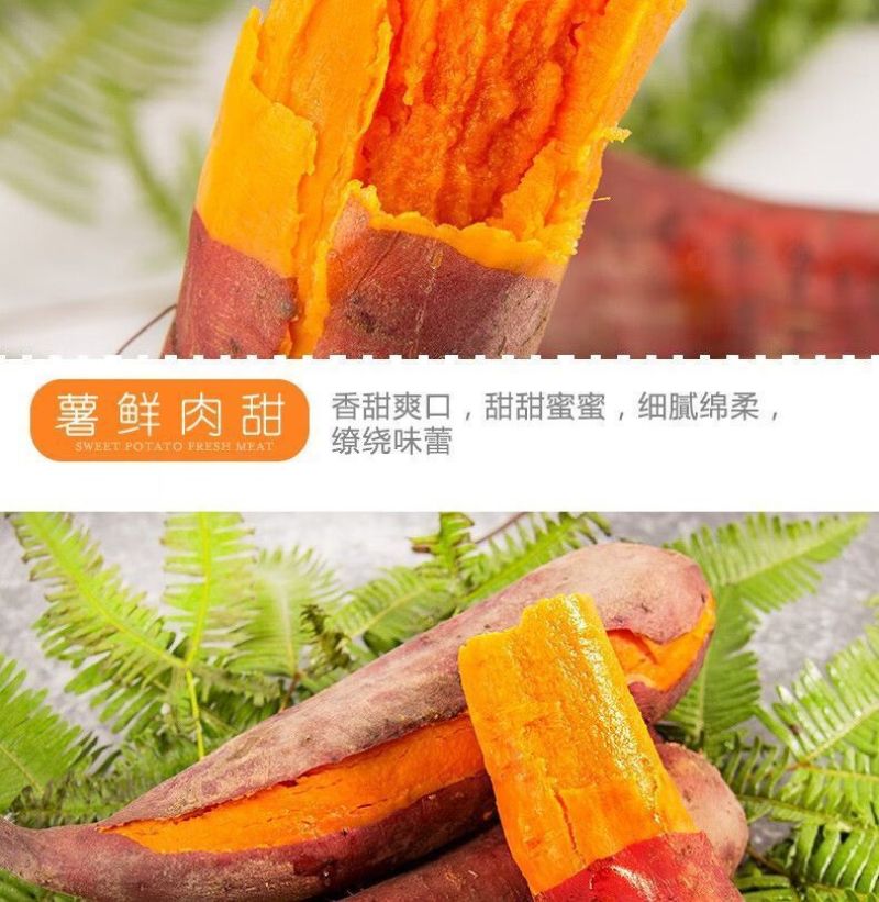 广东湛江沙地西瓜红红薯新鲜现挖红皮红心蜜薯软糯糖心番薯