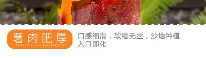 广东湛江沙地西瓜红红薯新鲜现挖红皮红心蜜薯软糯糖心番薯