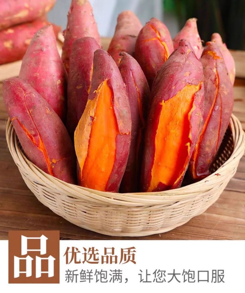 广东湛江沙地西瓜红红薯新鲜现挖红皮红心蜜薯软糯糖心番薯