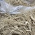 东北长白山鲜参大量批发产地发货一手货源种植户售包邮