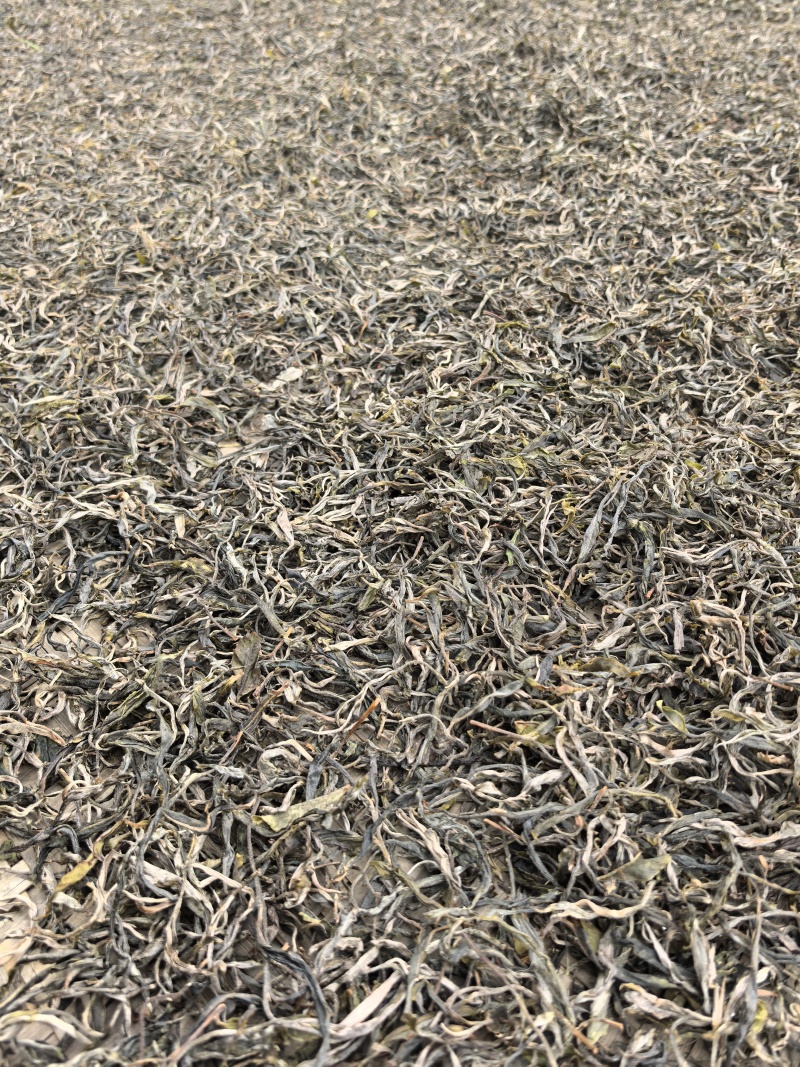 普洱茶
