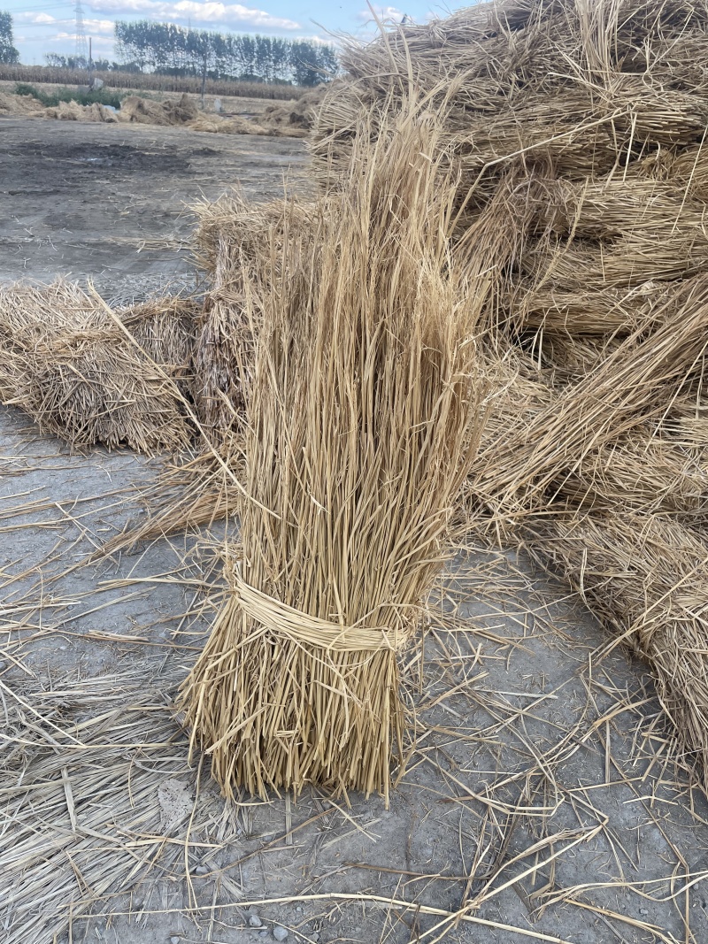 治沙草稻草治沙护坝治沙稻草
