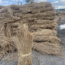 治沙草稻草治沙护坝治沙稻草