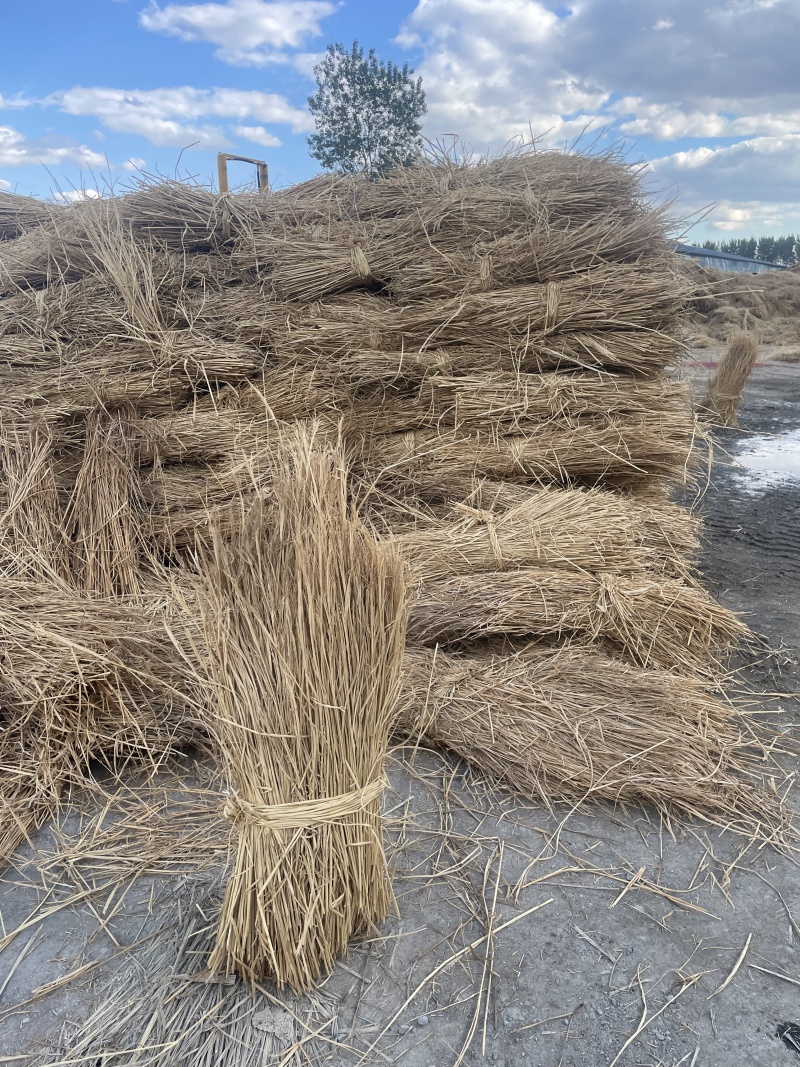 治沙草稻草治沙护坝治沙稻草