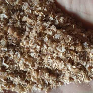 麦麸养殖用鸡鸭鹅猪牛羊黄粉虫养殖饲料
