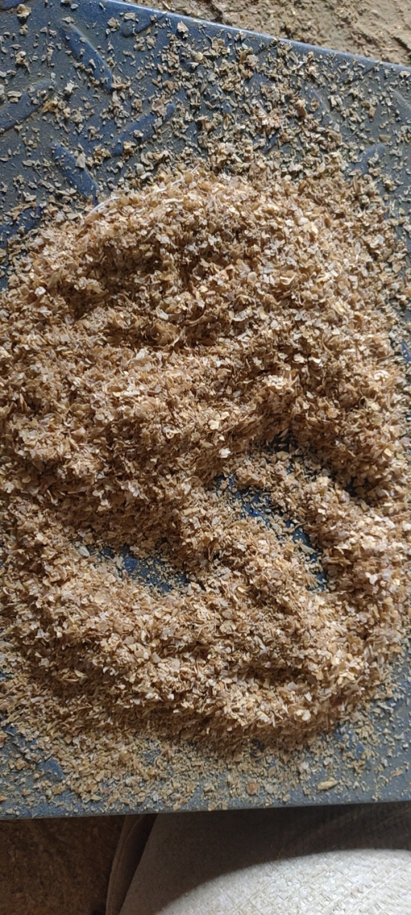 麦麸养殖用鸡鸭鹅猪牛羊黄粉虫养殖饲料