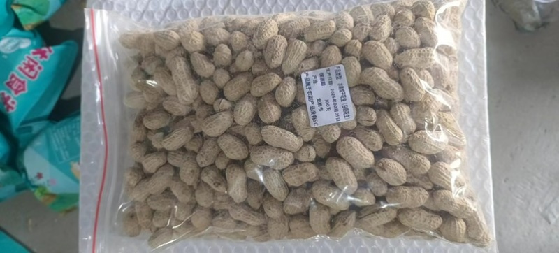 蒜香花生水煮花生厂家直销支持一件代发对接电商平台