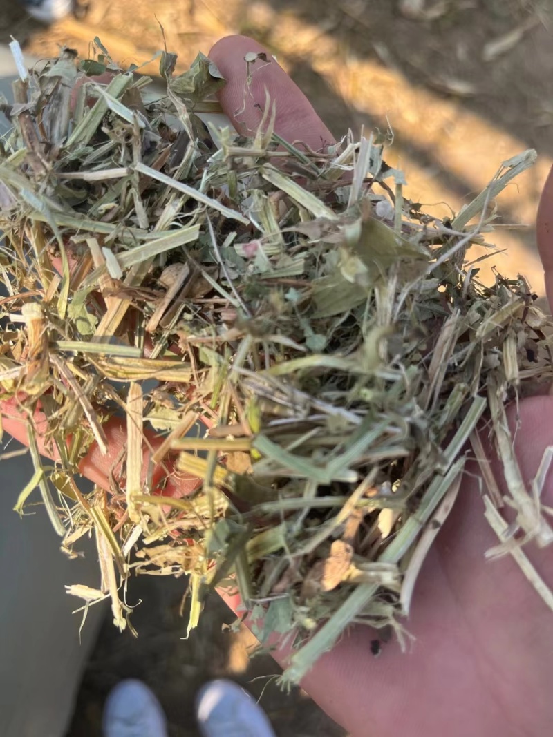 花生秧牛羊兔羊驼水豚羊草料花生秧