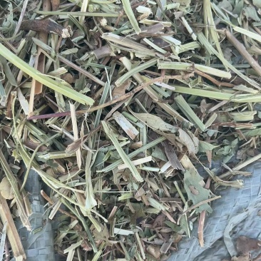 花生秧牛羊兔羊驼水豚羊草料花生秧