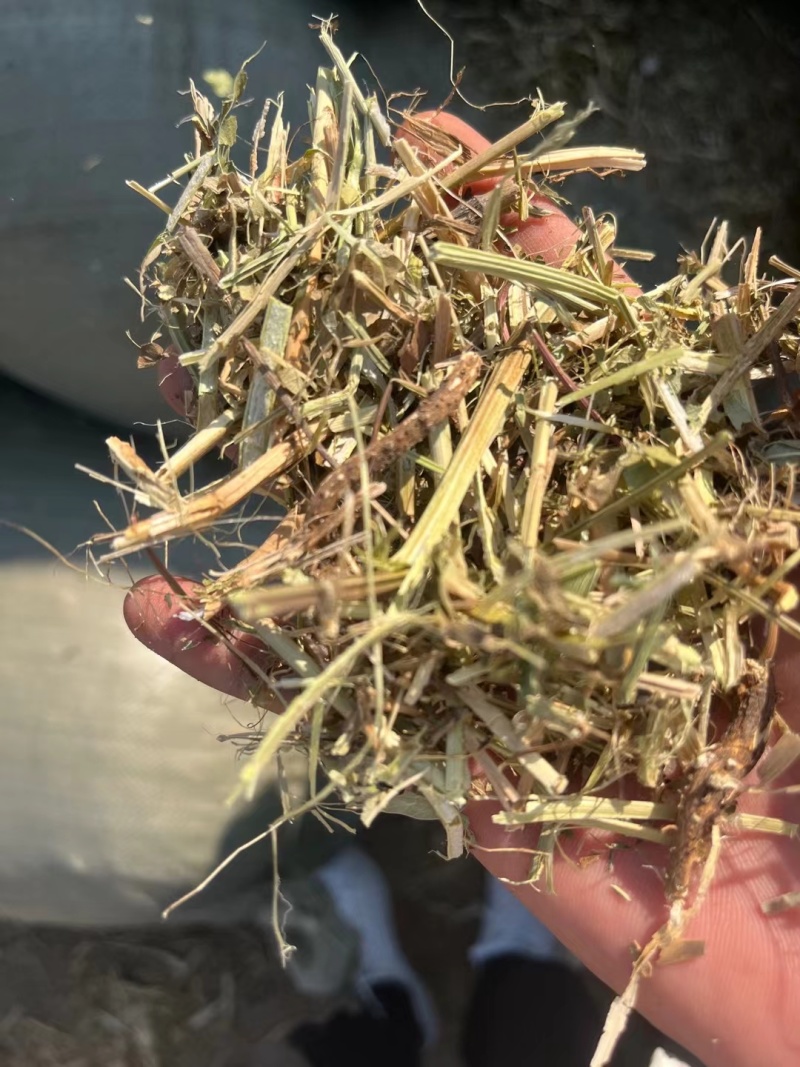 花生秧牛羊兔羊驼水豚羊草料花生秧